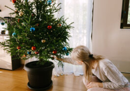 Immer mehr Menschen entscheiden sich für einen Weihnachtsbaum im Topf. Foto ©Nadtochiy stock adobe