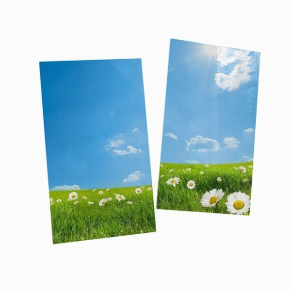 Wallario Herd-Abdeckplatte Sommerwiese - Weiße Gänseblümchen vor blauem Himmel, ESG-Sicherheitsglas, (Glasplatte, 2 tlg., inkl. 5mm Noppen), verschiedene Größen
